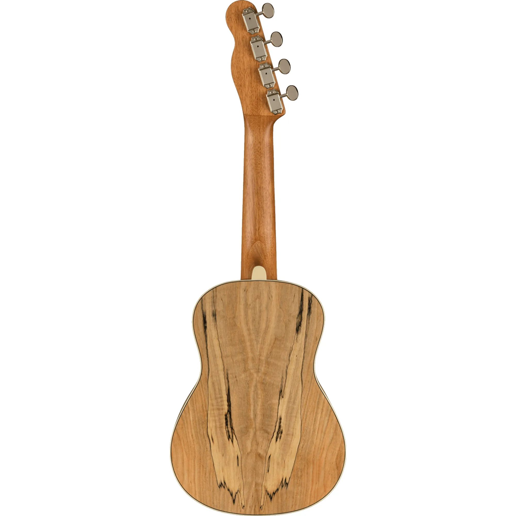 Fender Zuma Exotic Spalted Maple