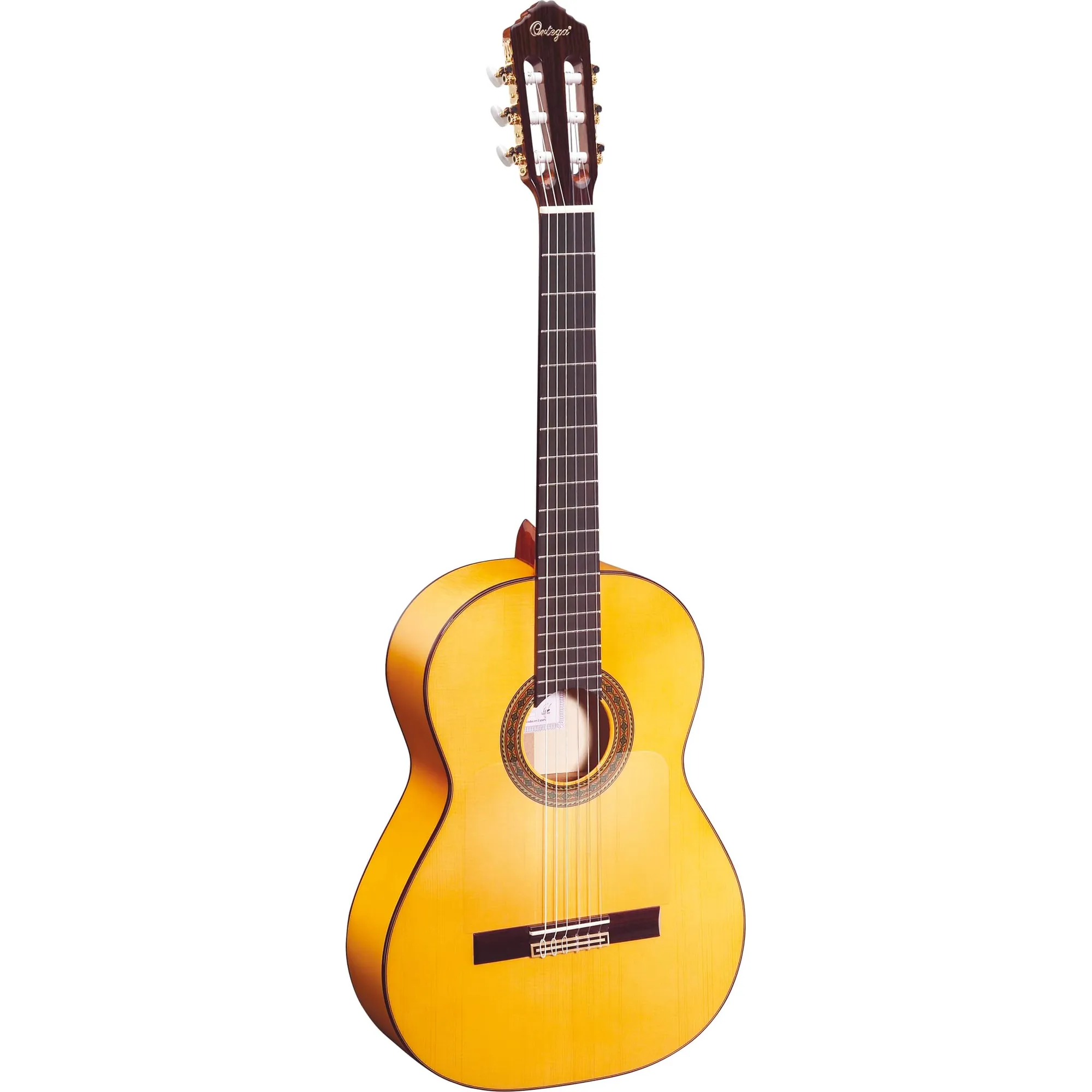 Ortega R20GRG
