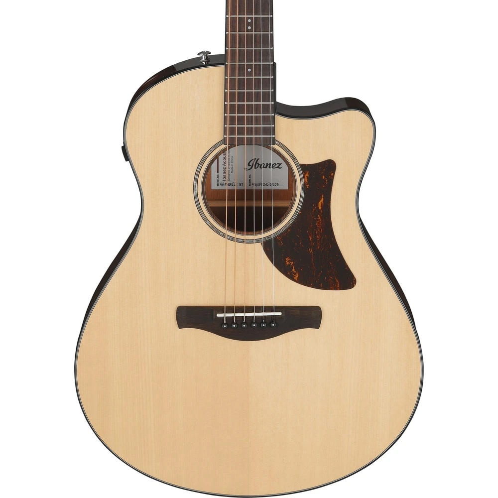Ibanez AAM300CE-NT