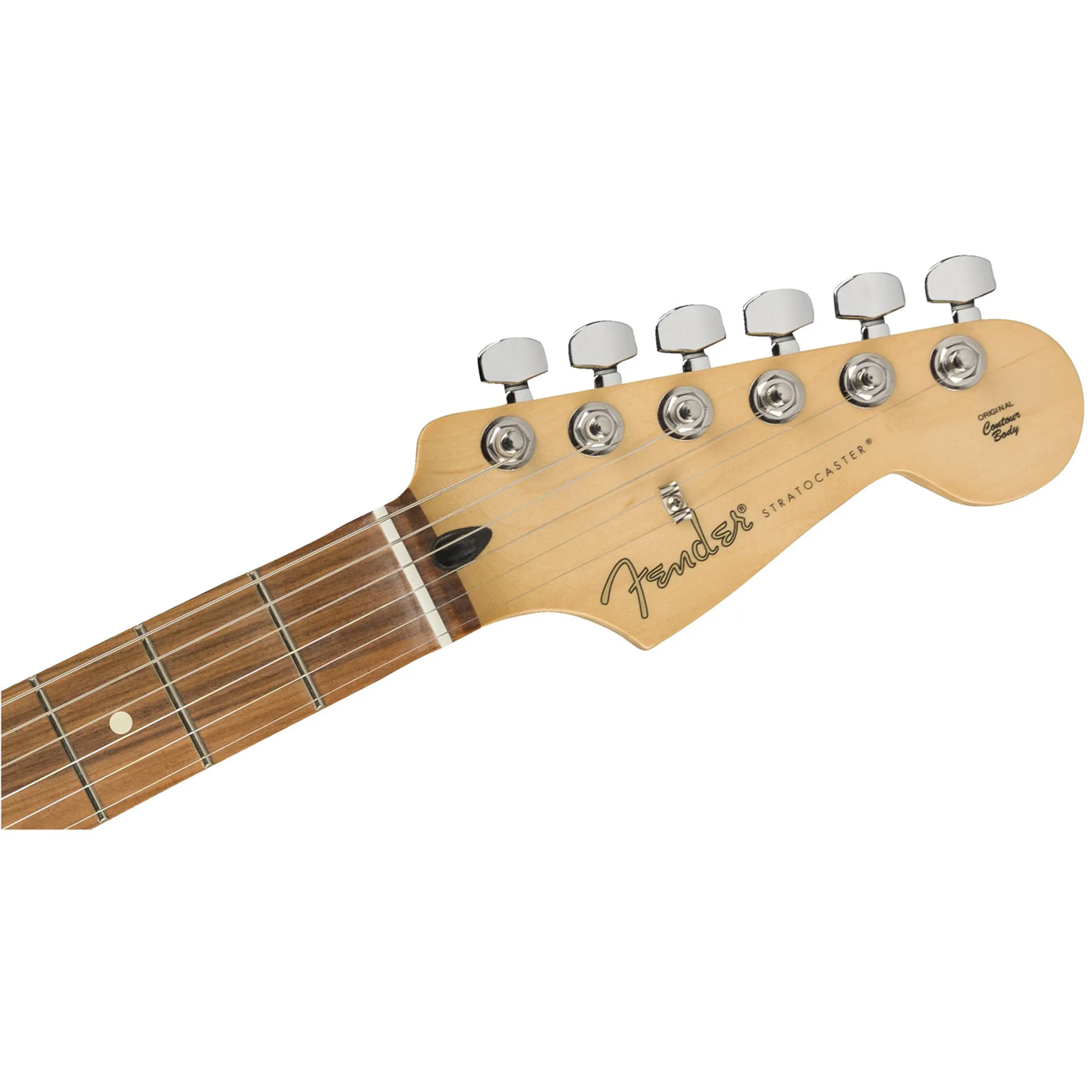 Fender Player Strat PF - SHP Limited - SHOWROOM