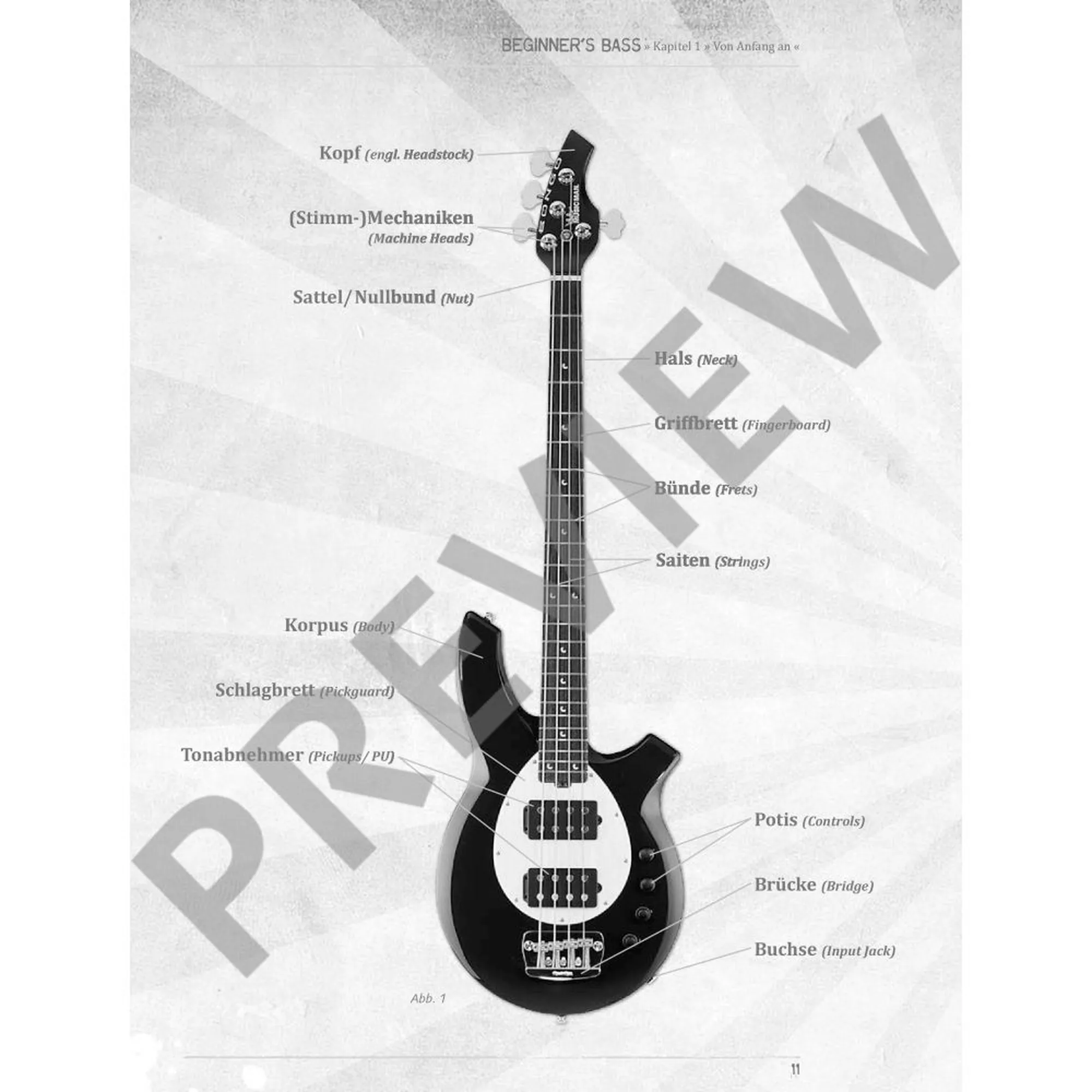 Beginner's Bass