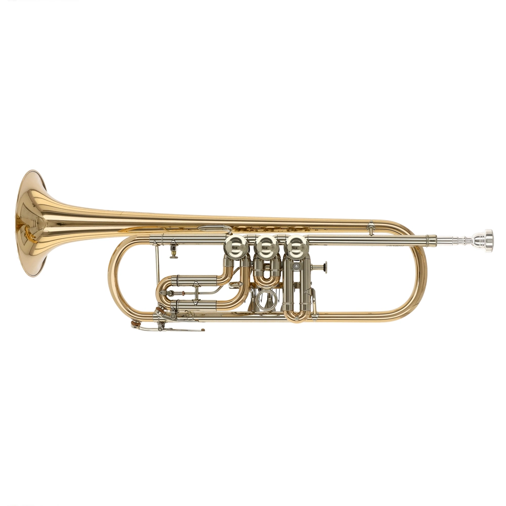 Voigt Brass JV-363-G-T Ambition