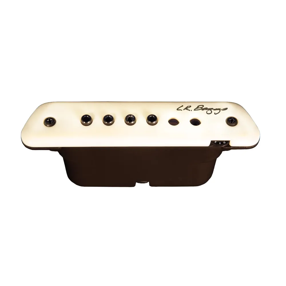 LR Baggs M1 Active