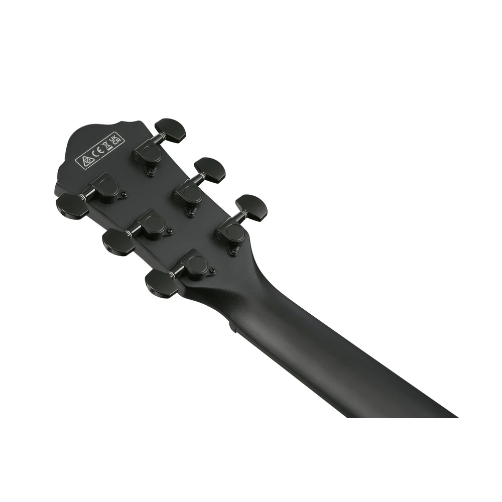 Ibanez AEWC621-BOT