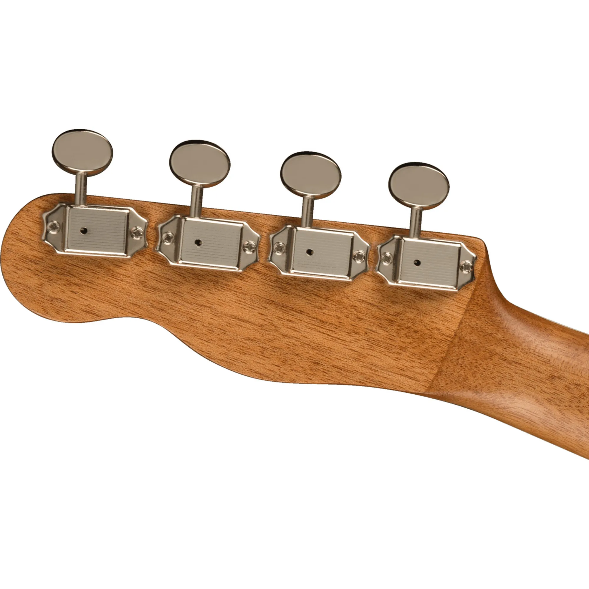 Fender Zuma Exotic Spalted Maple