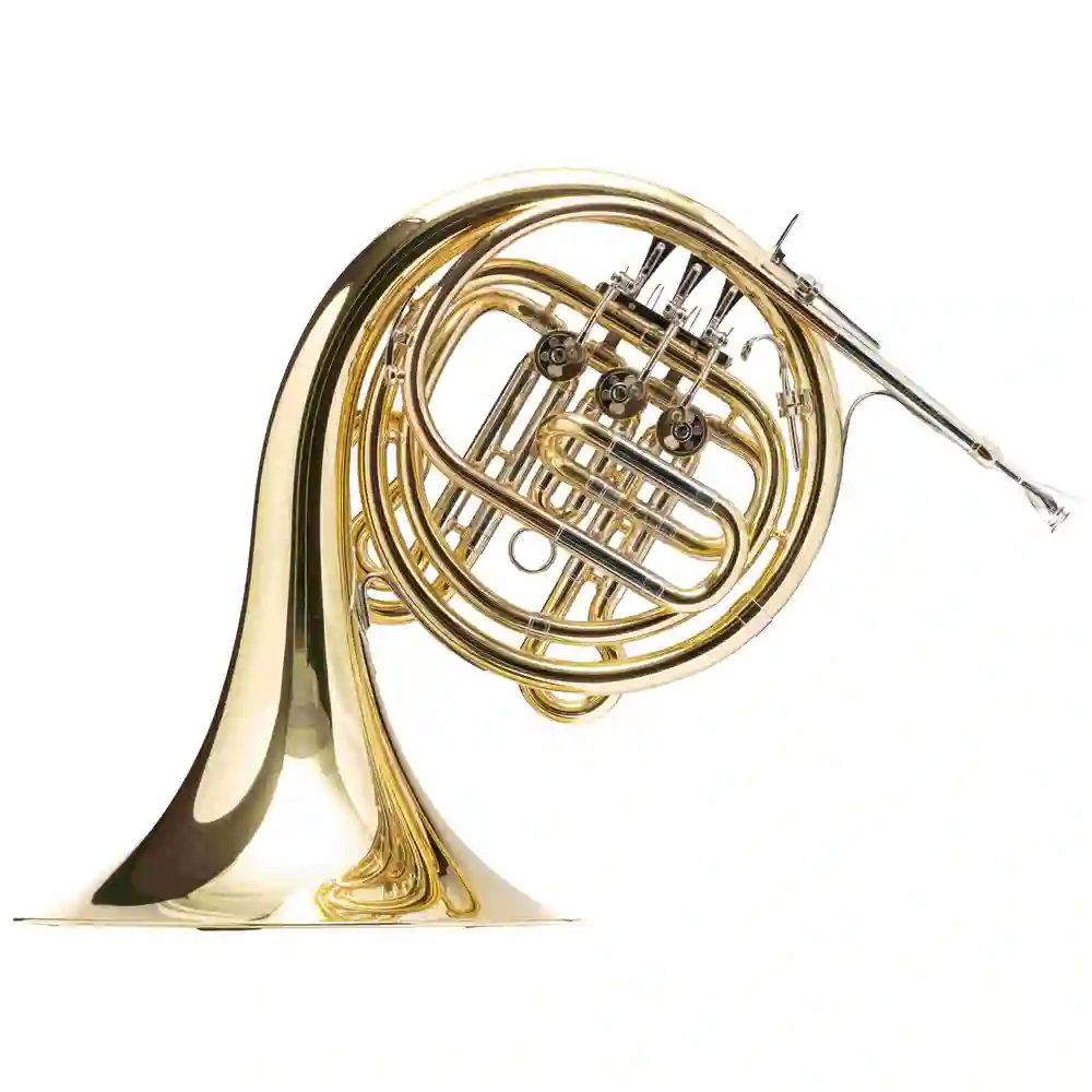 Hans Hoyer 272-L