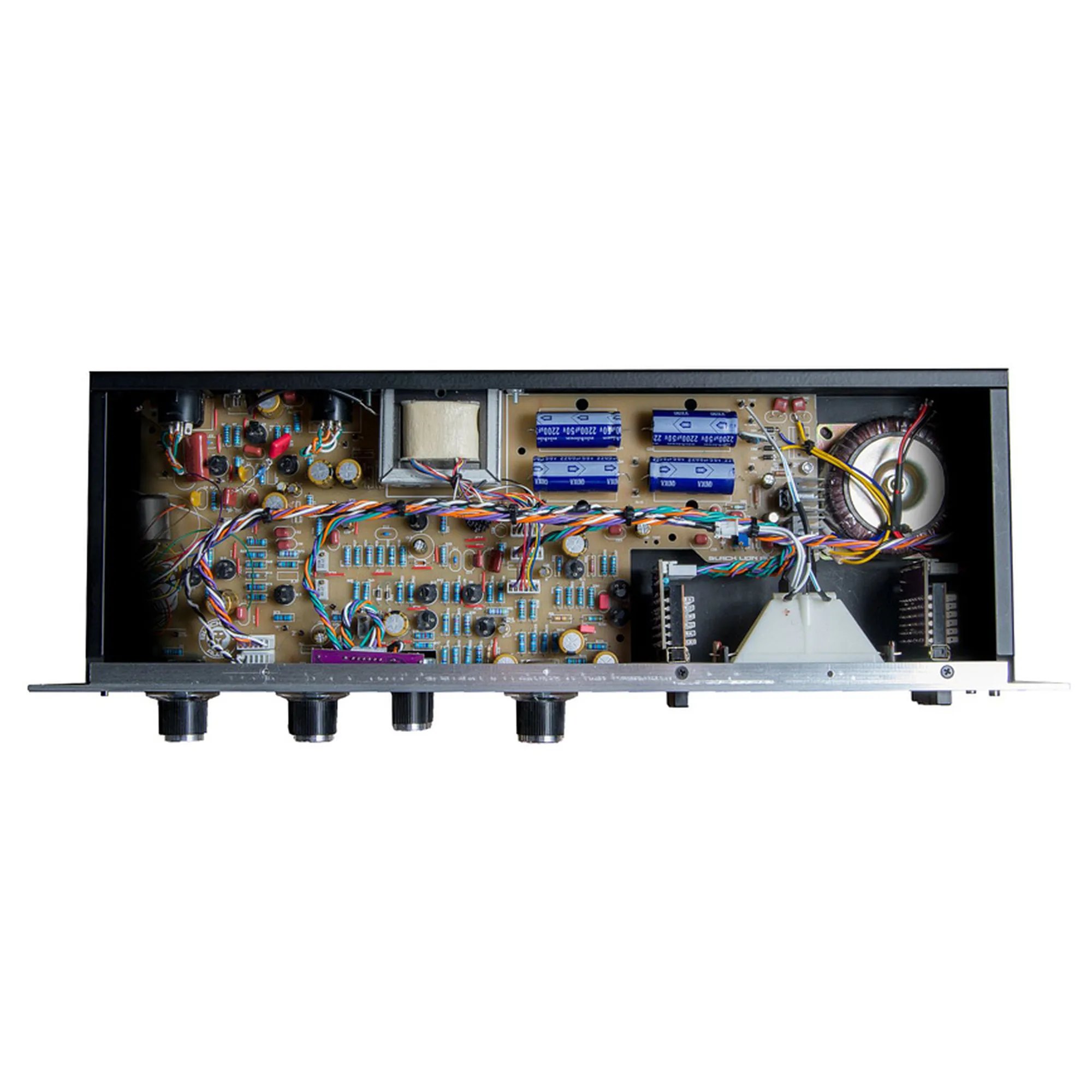 Black Lion Audio Bluey