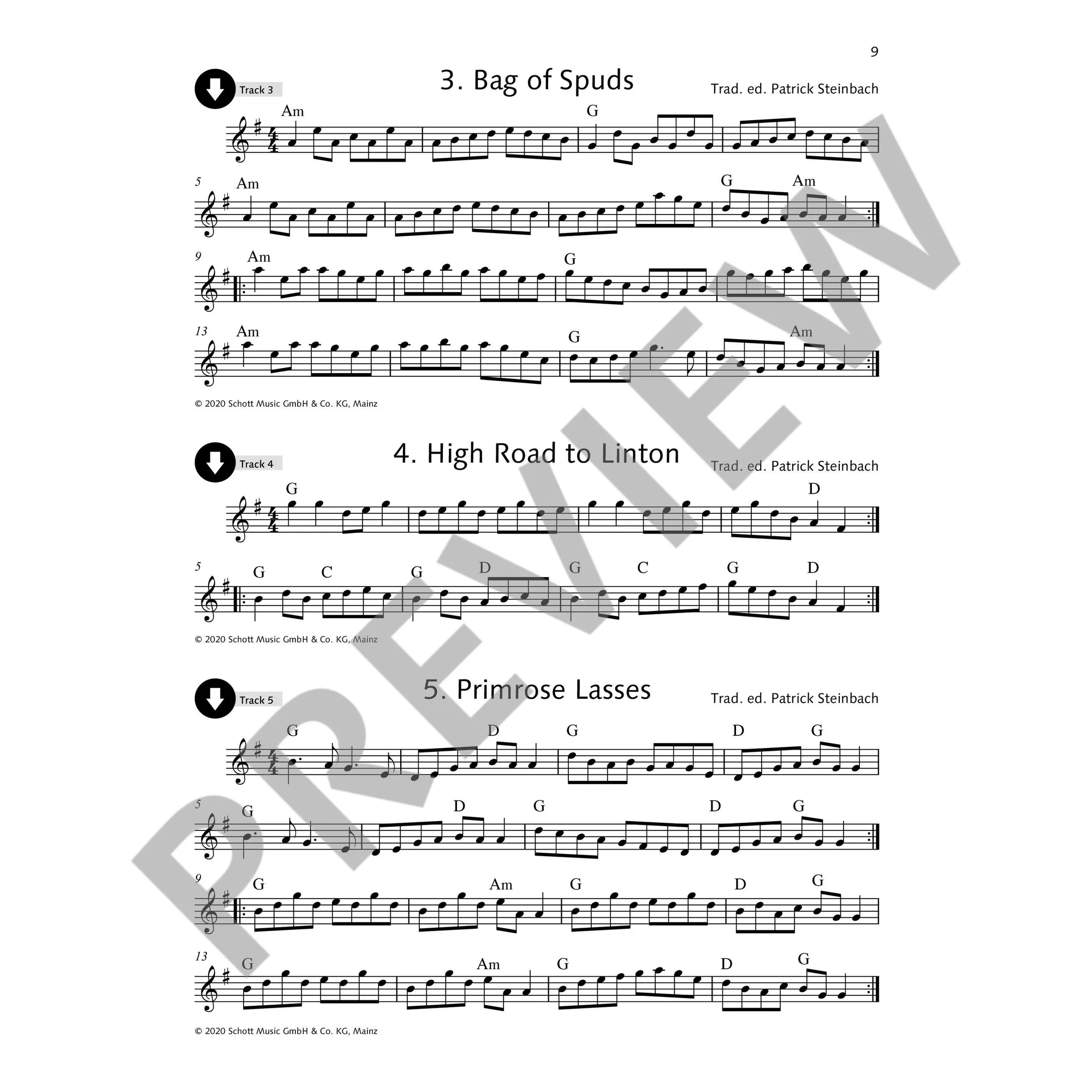 Irish Folk Tunes 2
