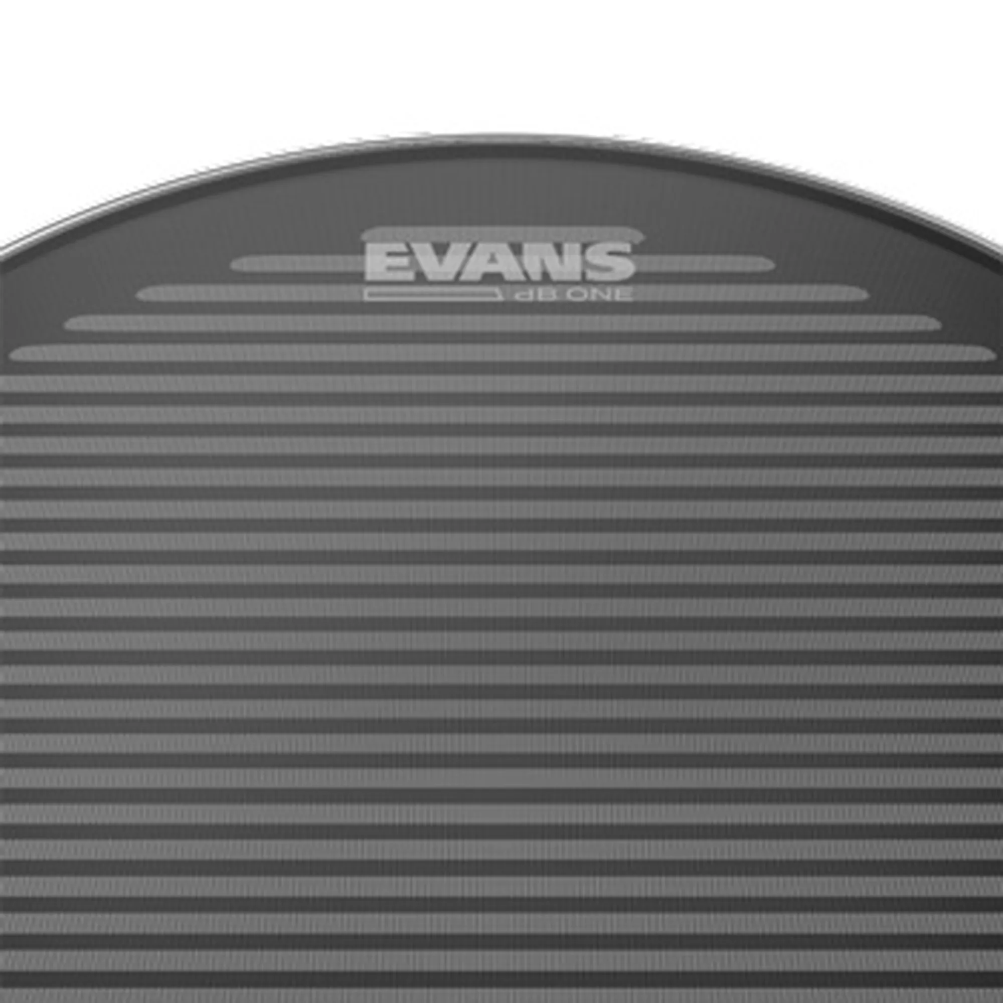 Evans dB One 14" SN