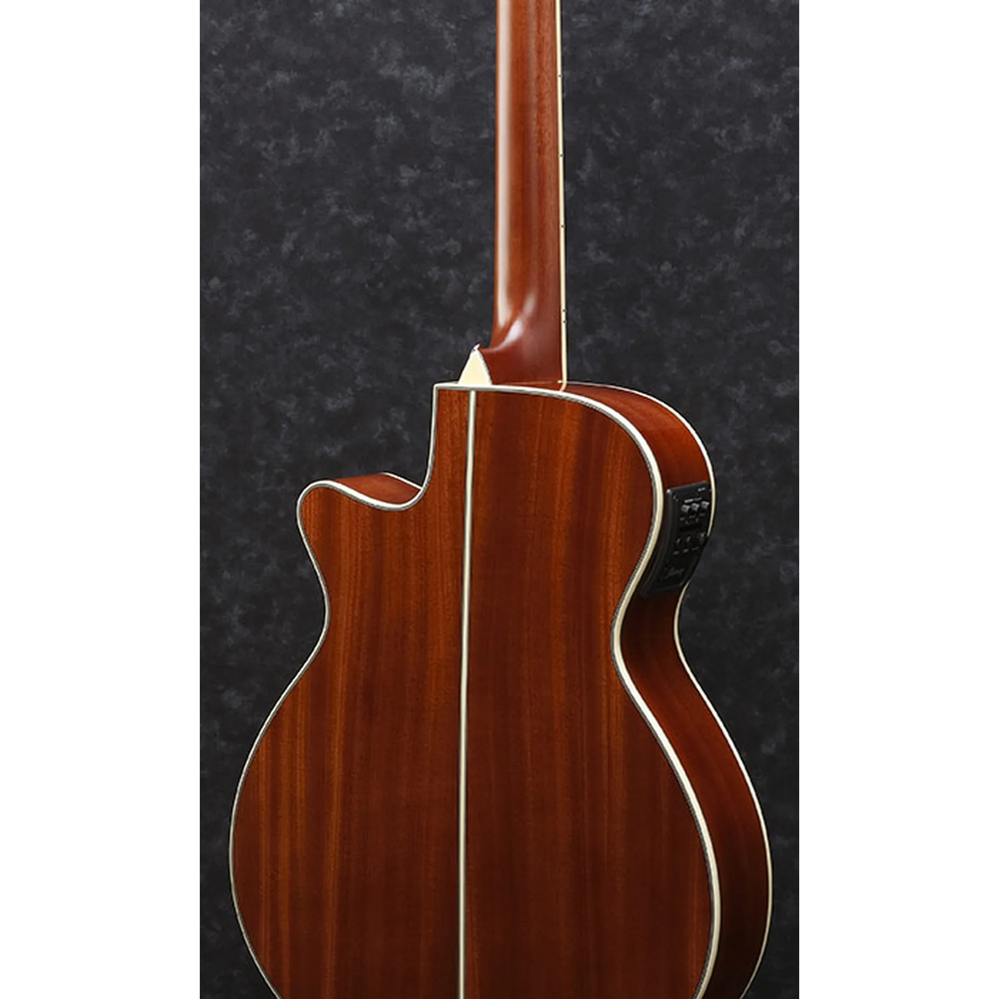 Ibanez AEG621-BOT