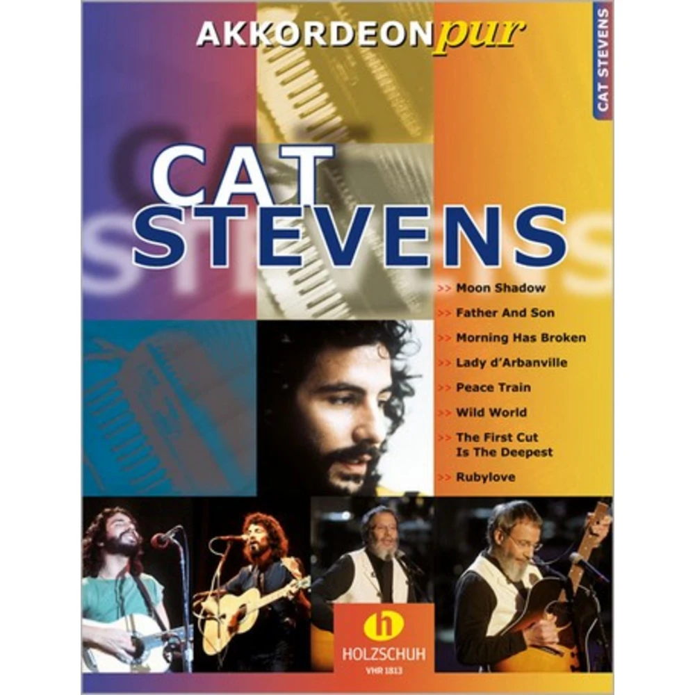 Cat Stevens - Akkordeon pur