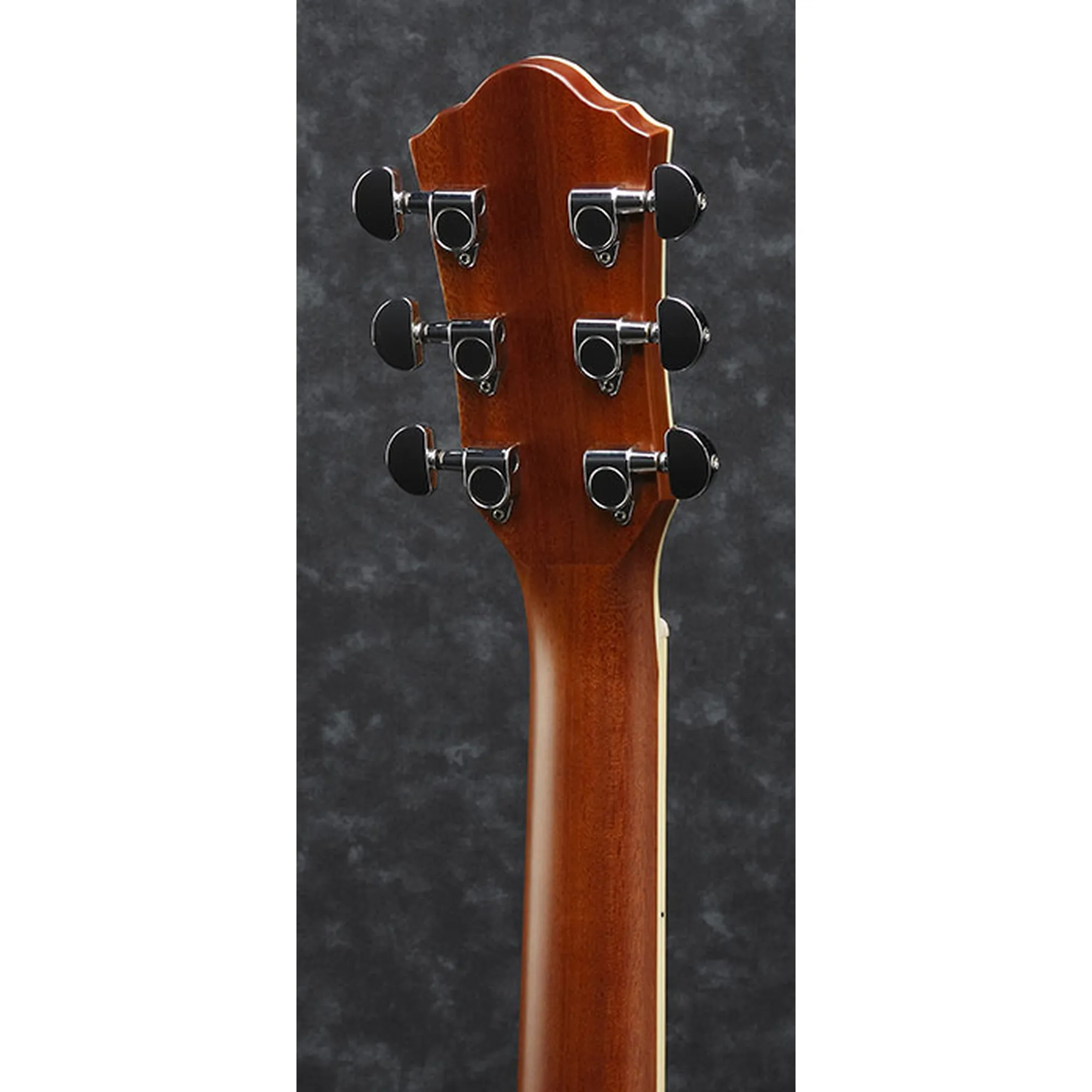 Ibanez AEG621-BOT