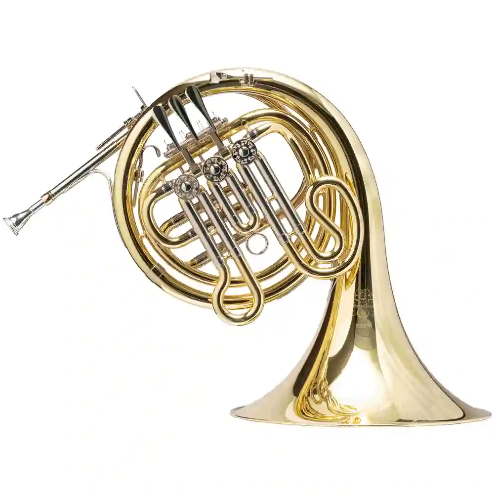 Hans Hoyer 272-L
