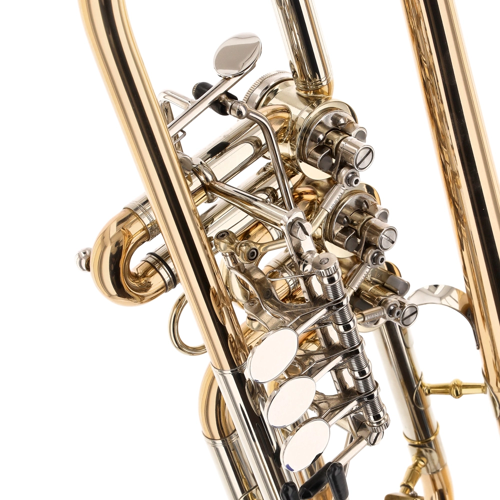 Reisser Virtuoso RTR-8218G B-Ware