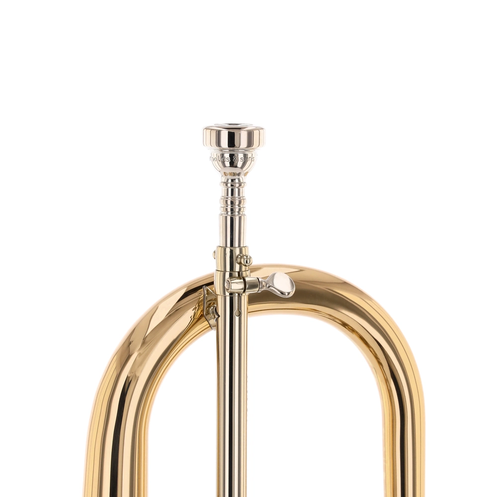 Voigt Brass JV-513-G-T Ambition