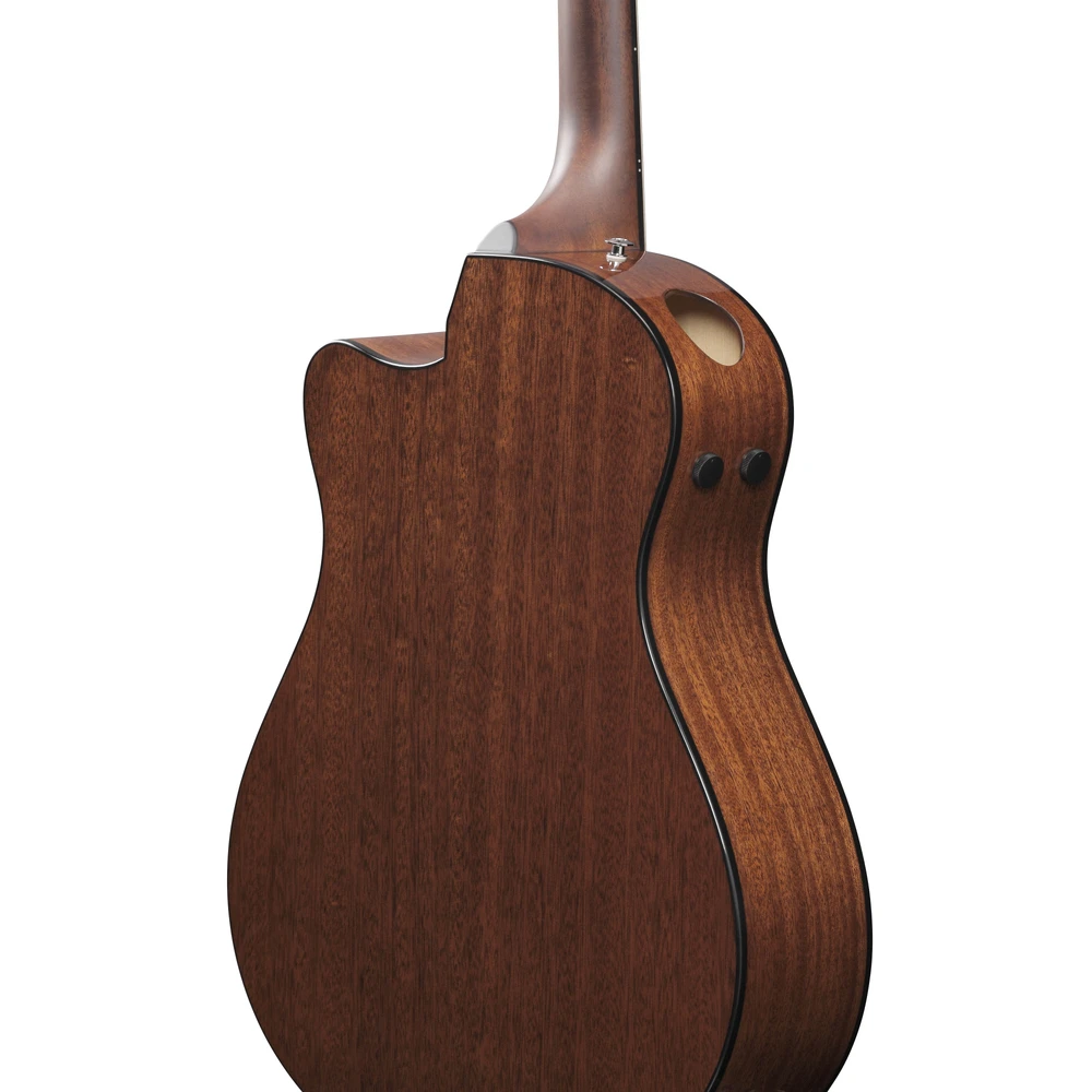 Ibanez AAM300CE-NT
