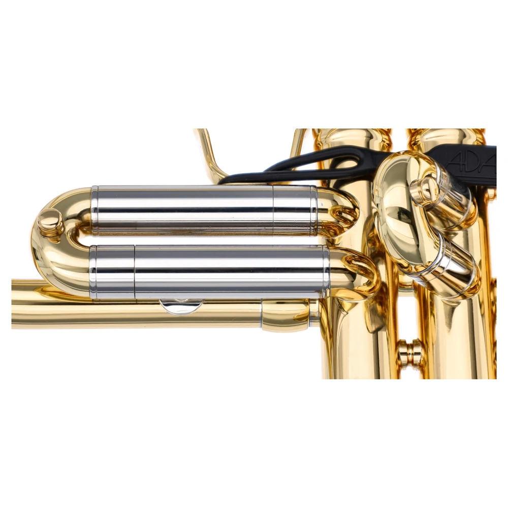 Adams Prologue L
