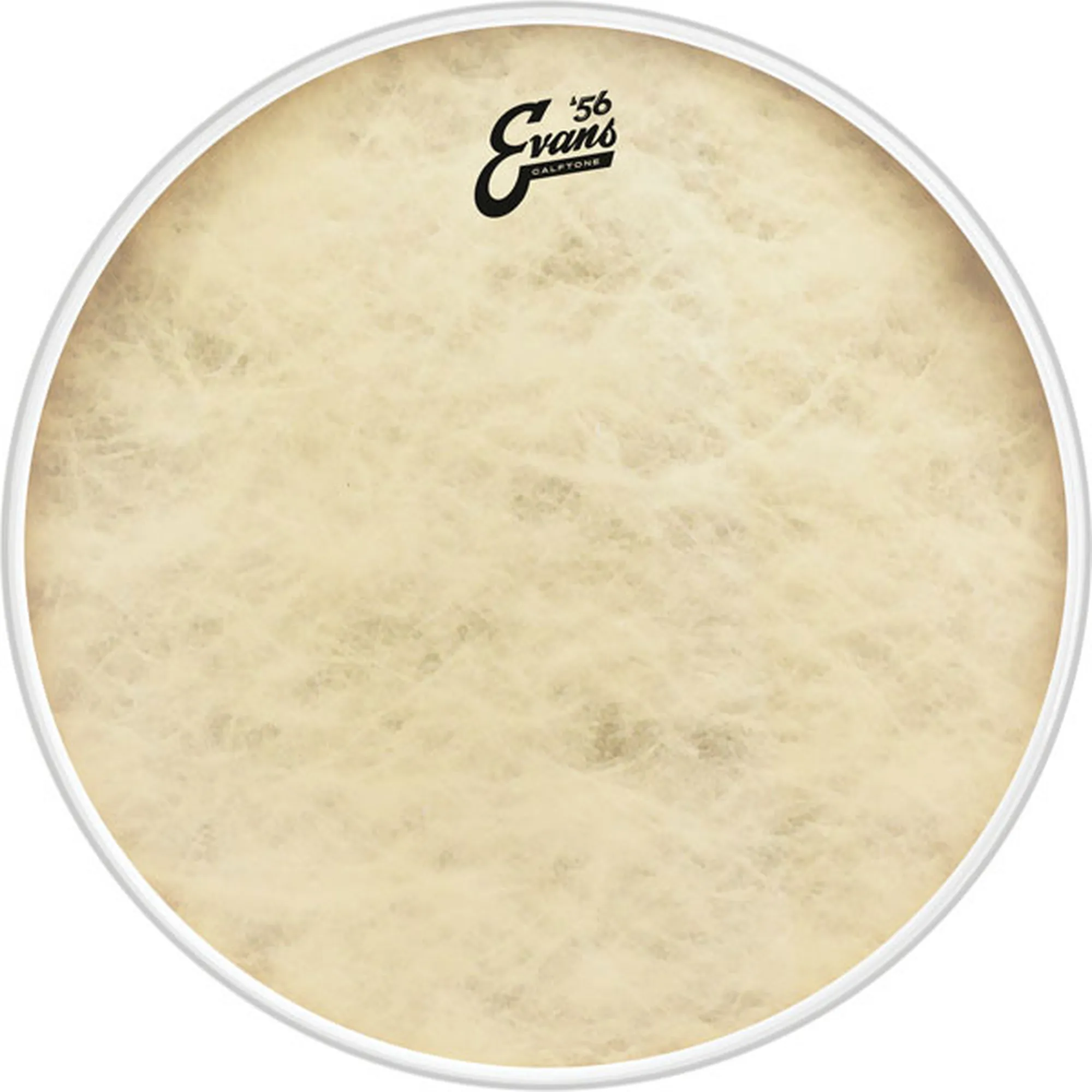 Evans EQ4 Calftone 20"