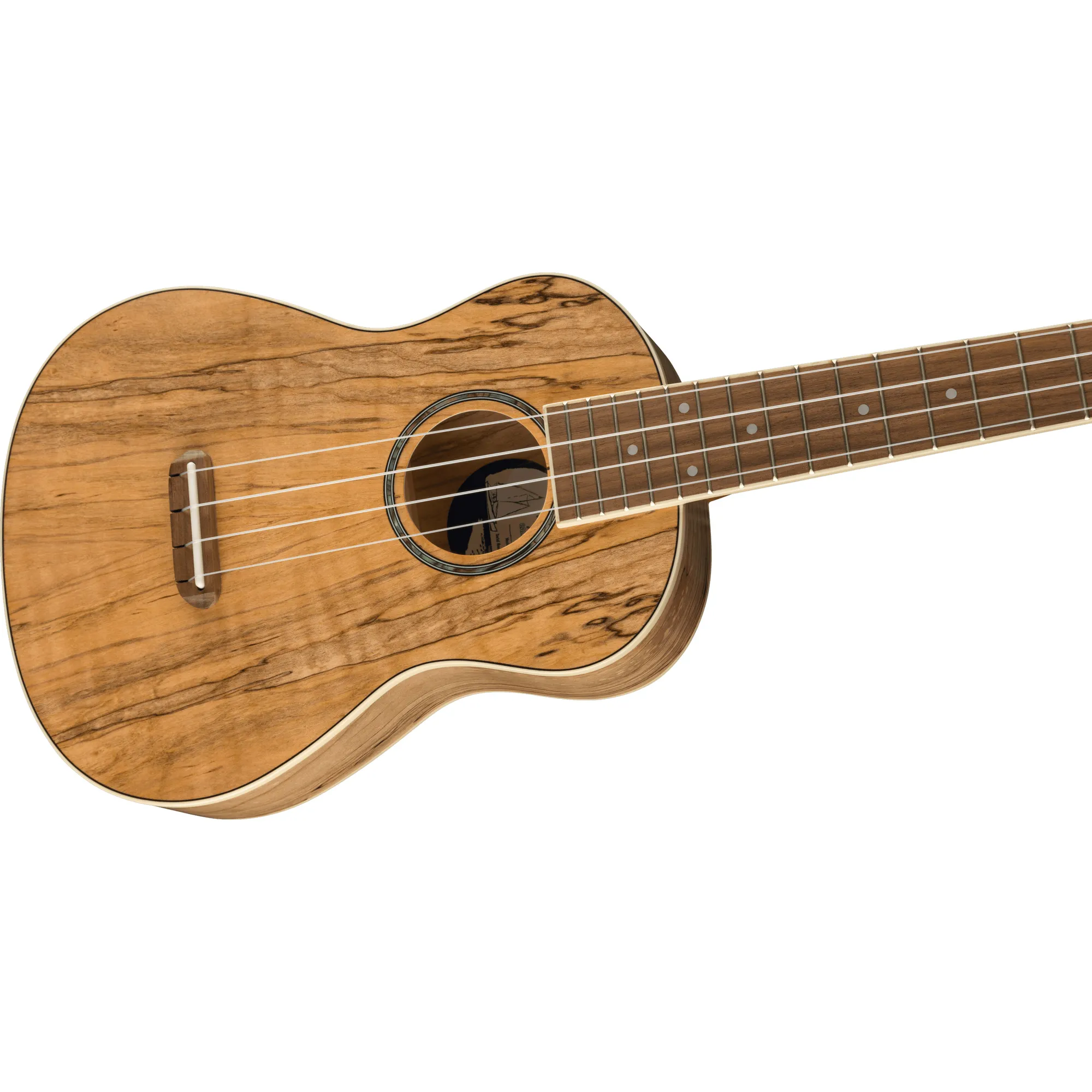 Fender Zuma Exotic Spalted Maple