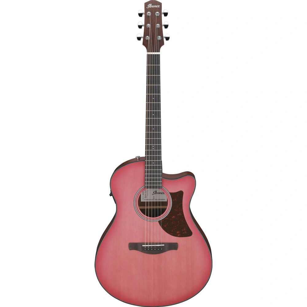 Ibanez AAM50CE-CRO
