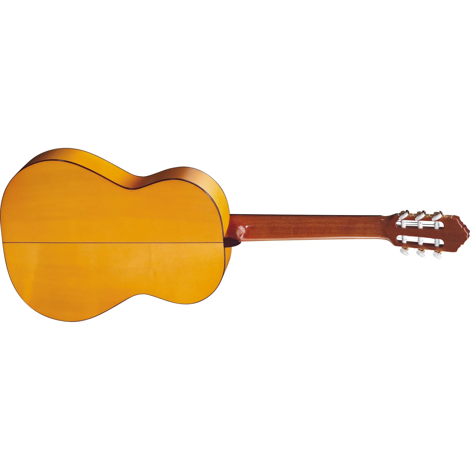 Ortega R20GRG