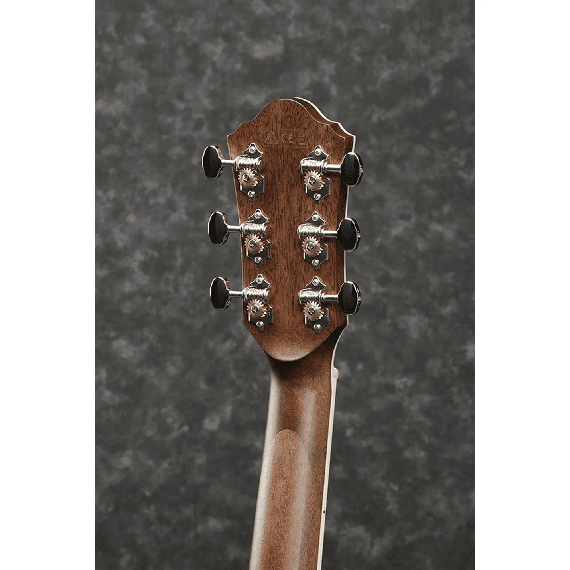 Ibanez AE245JR-OPN