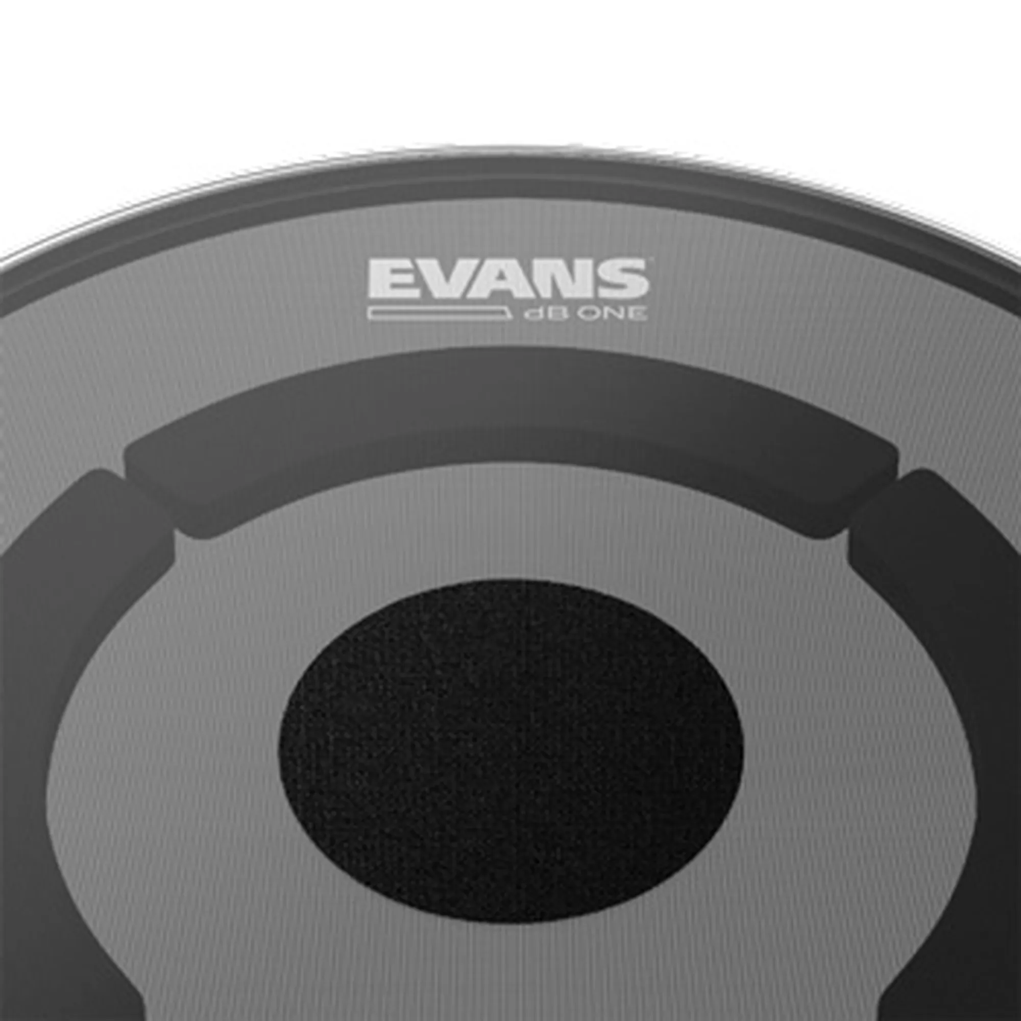 Evans dB One 16" TT
