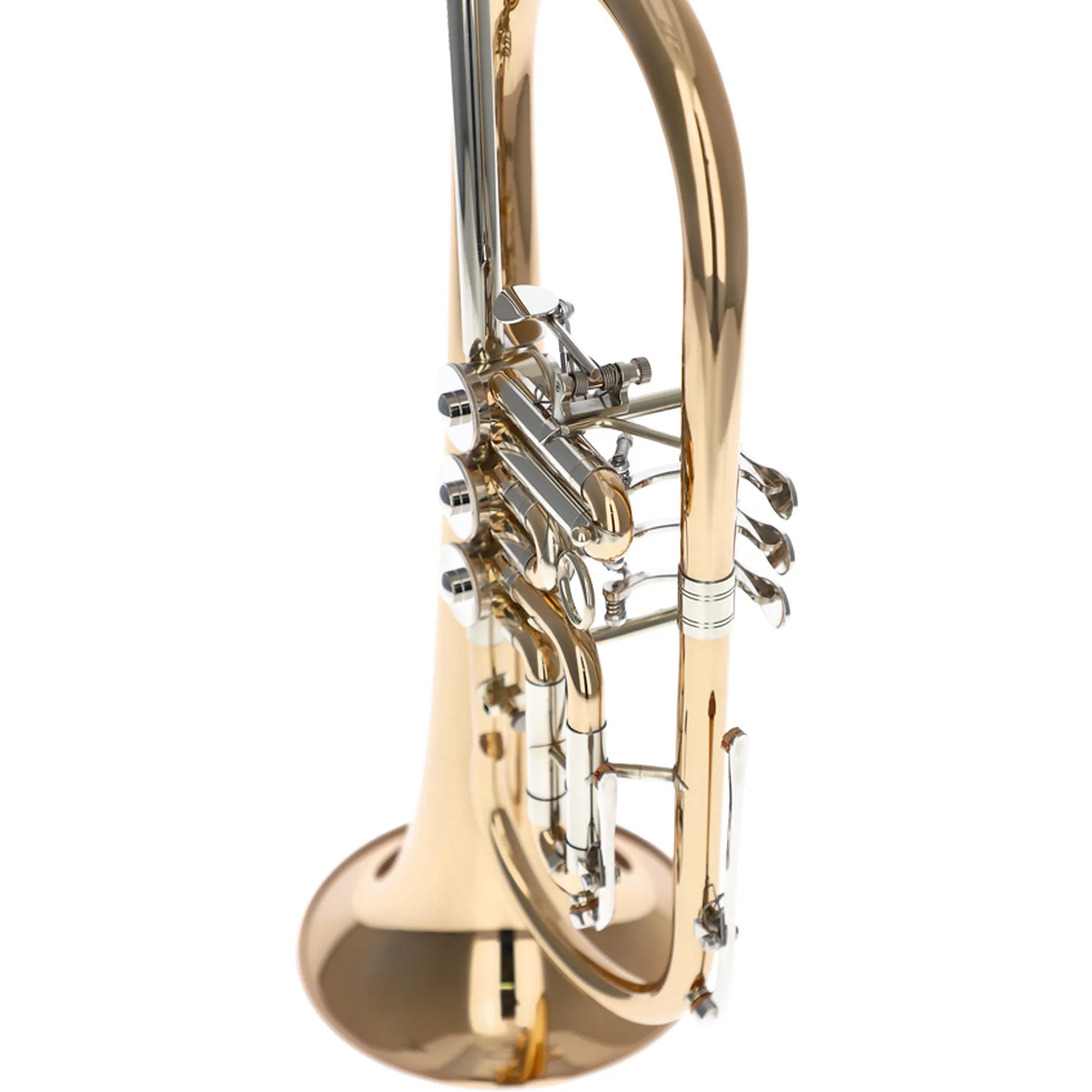Reisser Academia RFH-120TG 150 Jahre Reisser Jubiläums-Set
