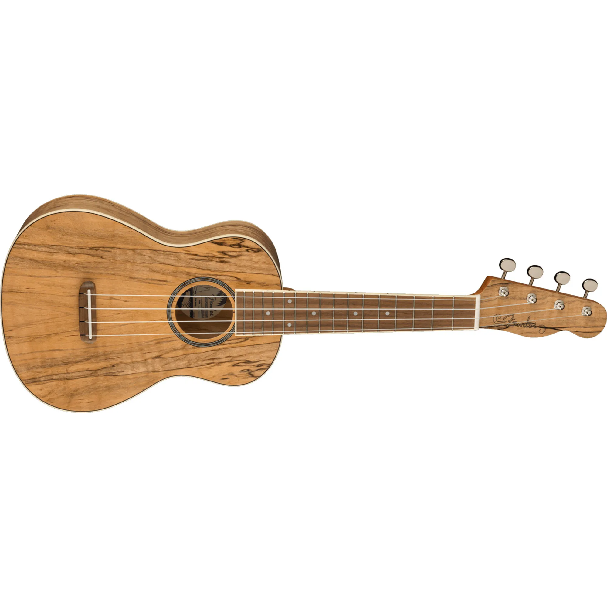 Fender Zuma Exotic Spalted Maple