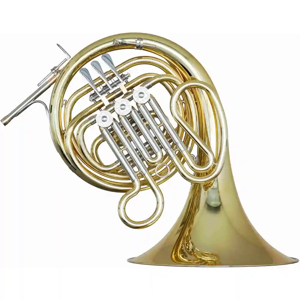 Hans Hoyer 270-L