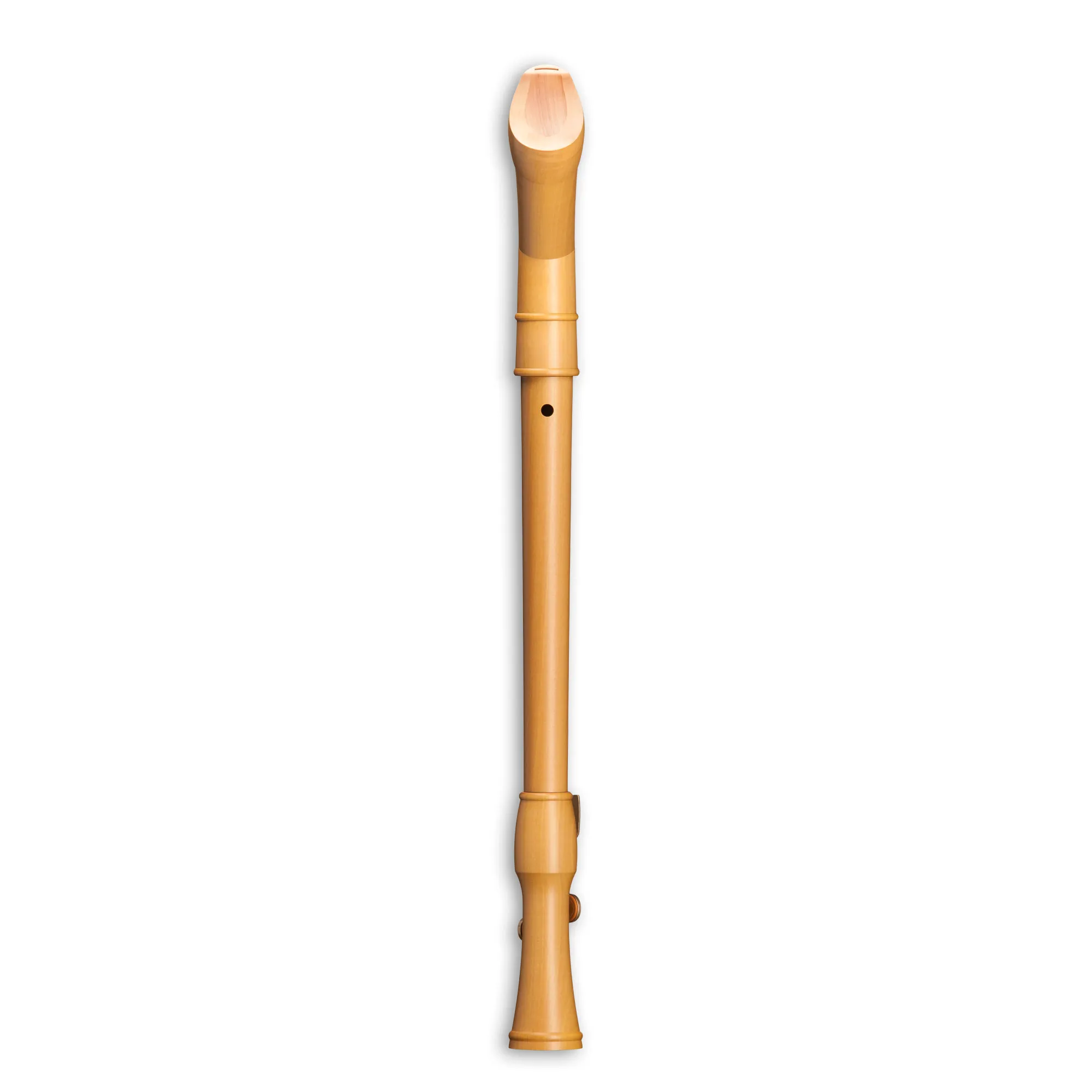 Mollenhauer Canta 2446K