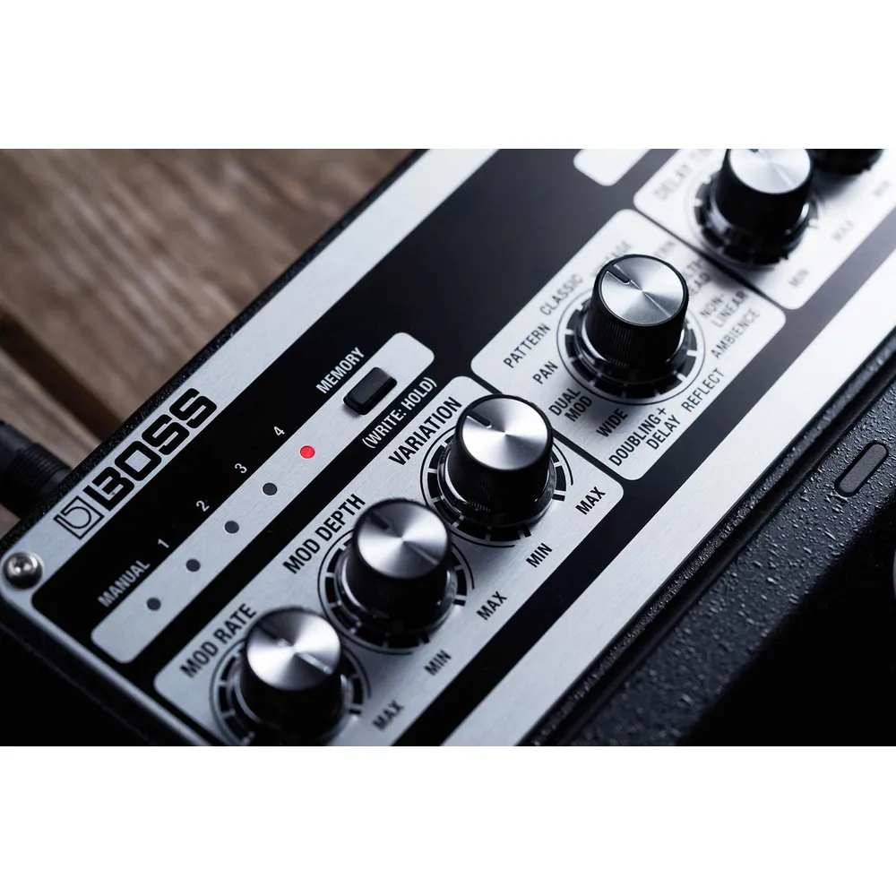 Boss DM-101