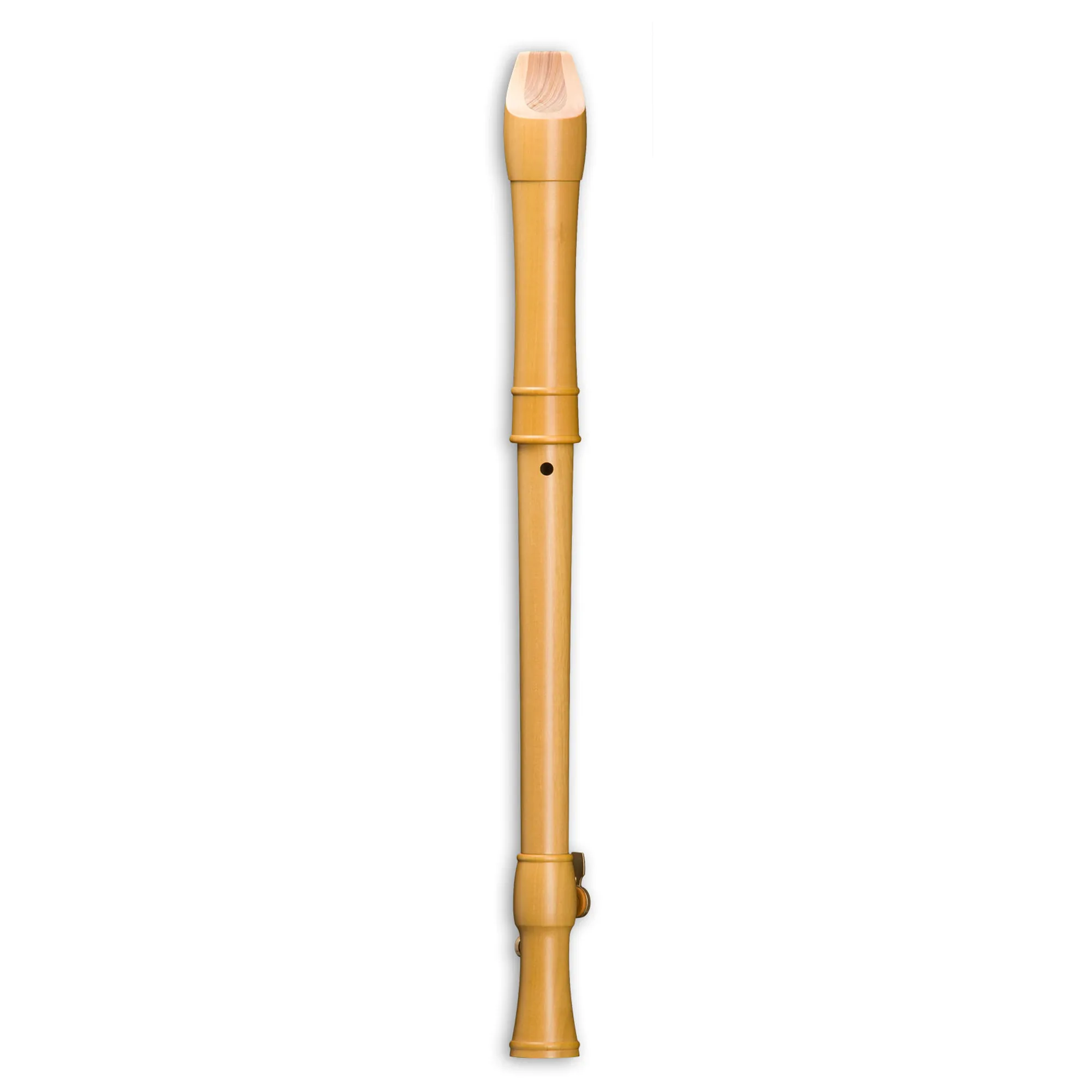 Mollenhauer Canta 2246