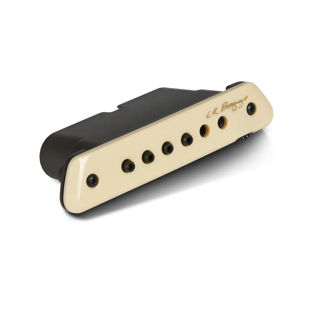LR Baggs M1 Active