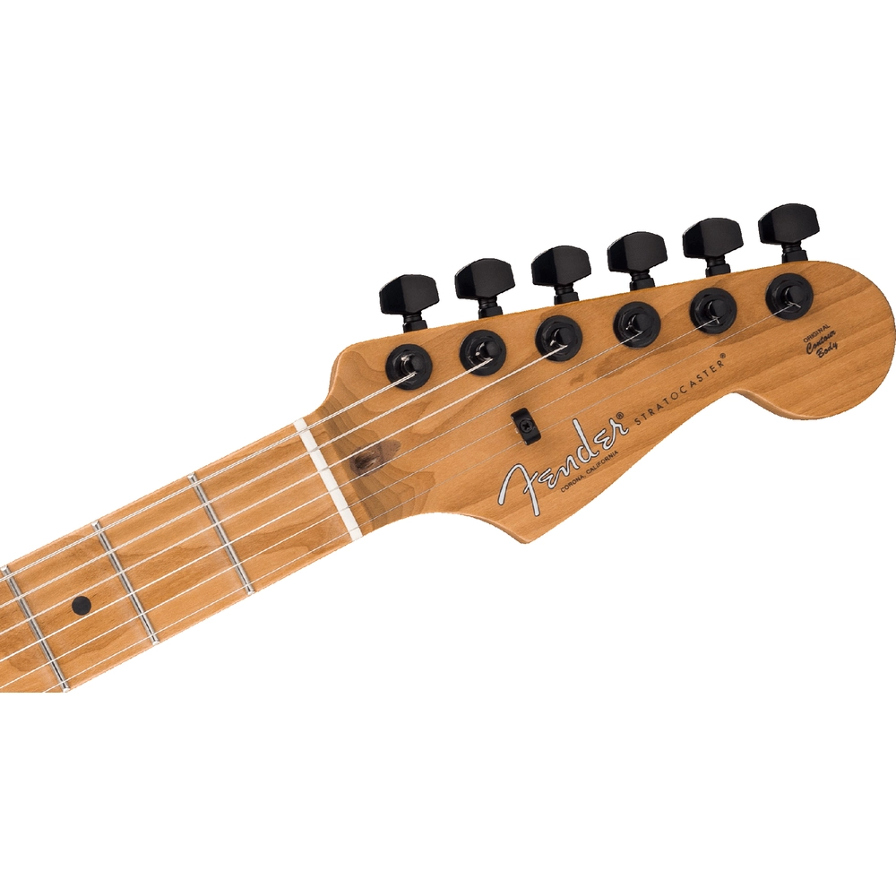 Fender Limited AM Pro II Strat HSS RMN AGN