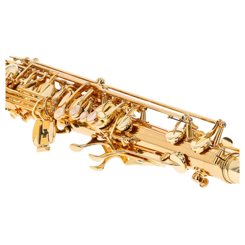Selmer Axos SE-TAXL
