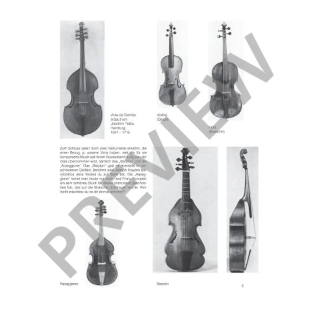Die Fröhliche Viola 2