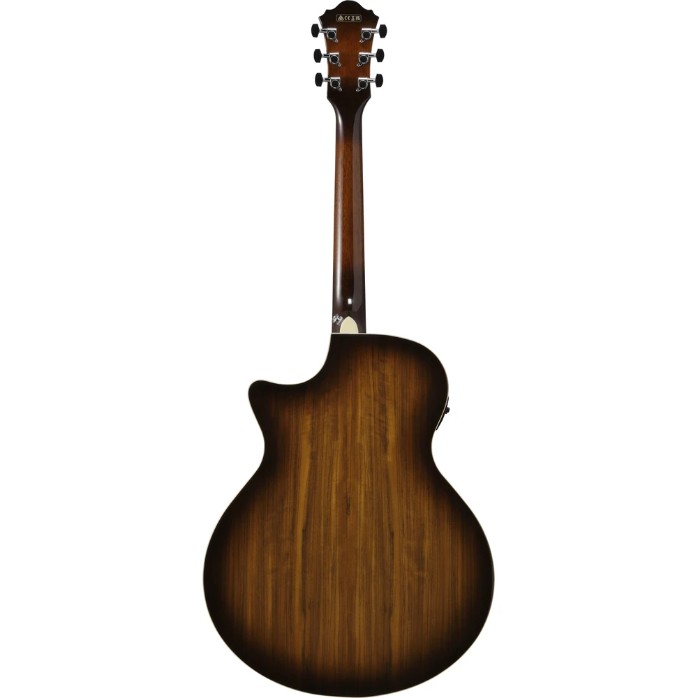 Ibanez AE160-VMS