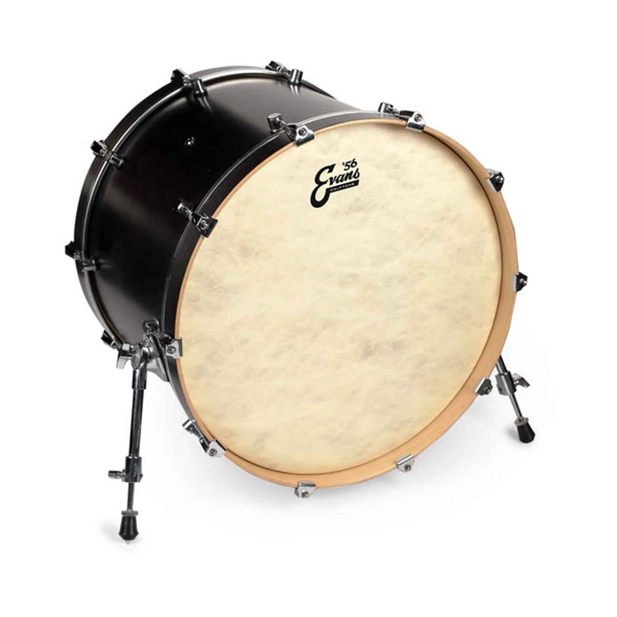 Evans EQ4 Calftone 20"