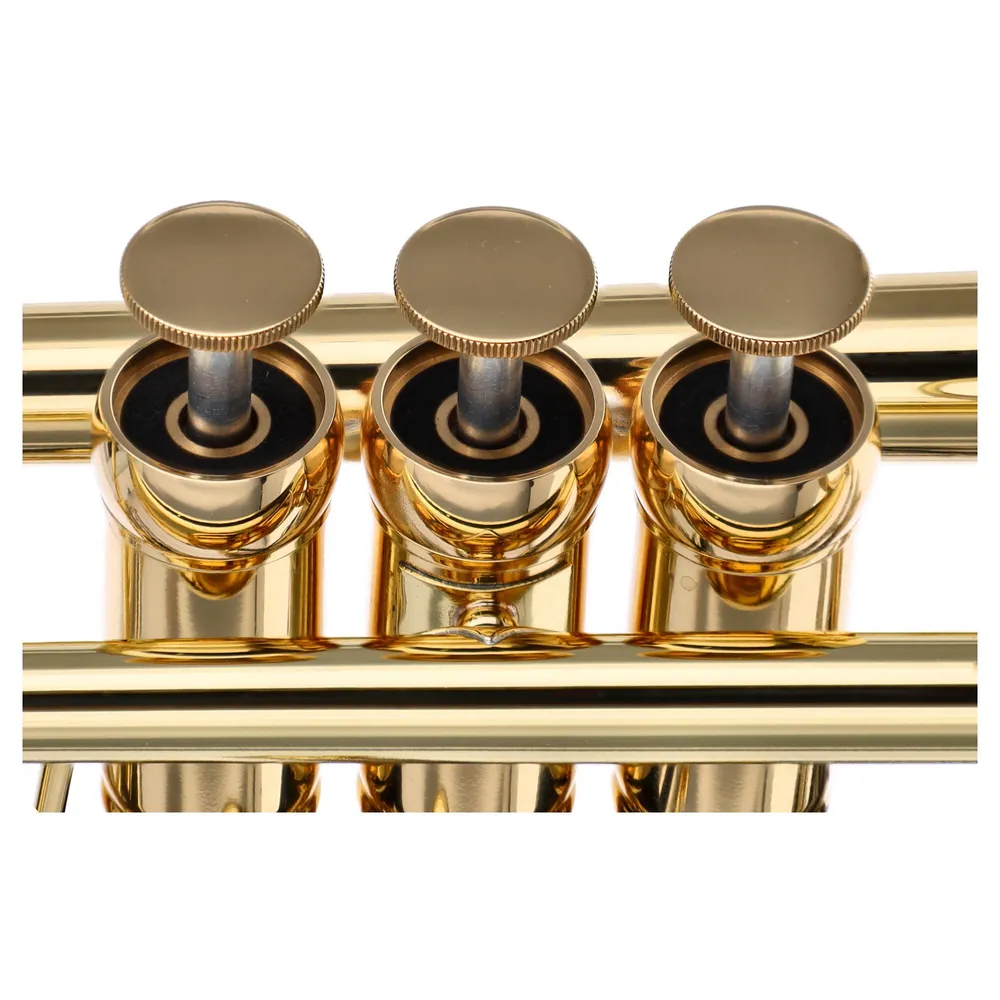 Adams Prologue L