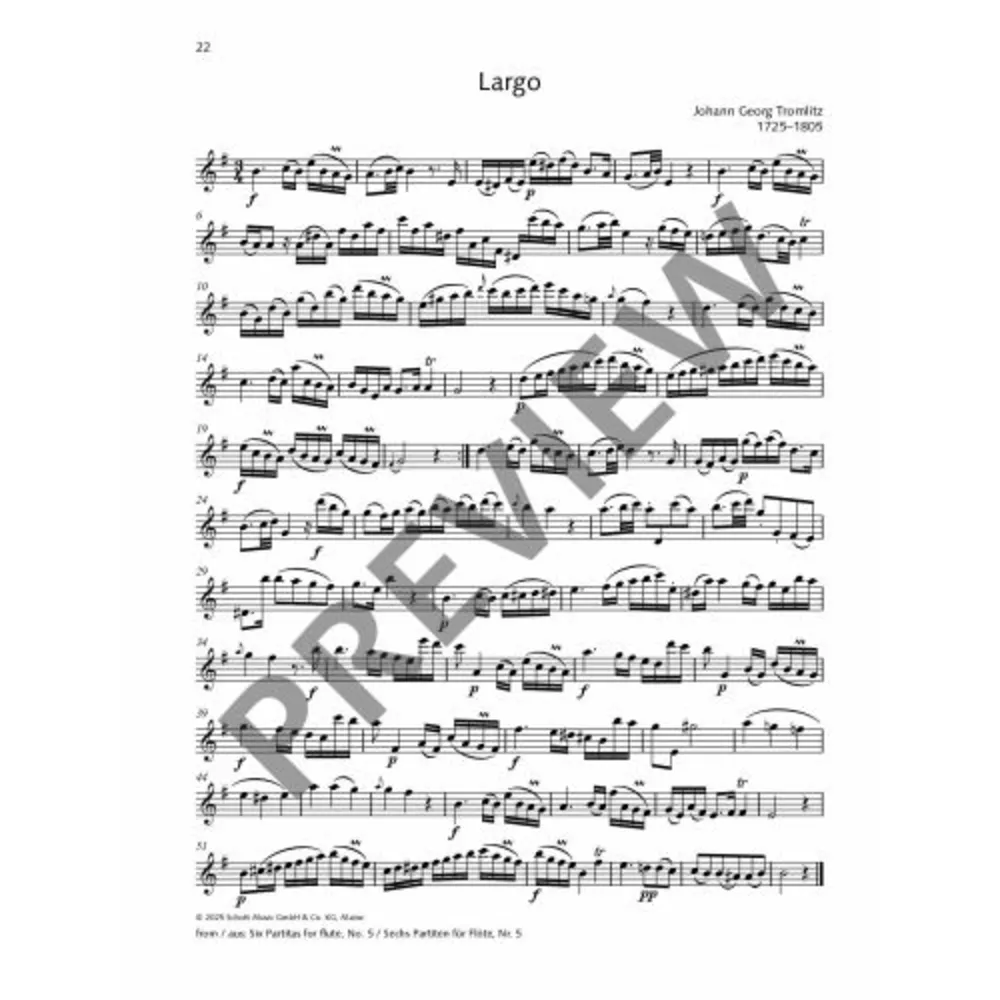 Best of Flute Solos - 30 Famous Pieces