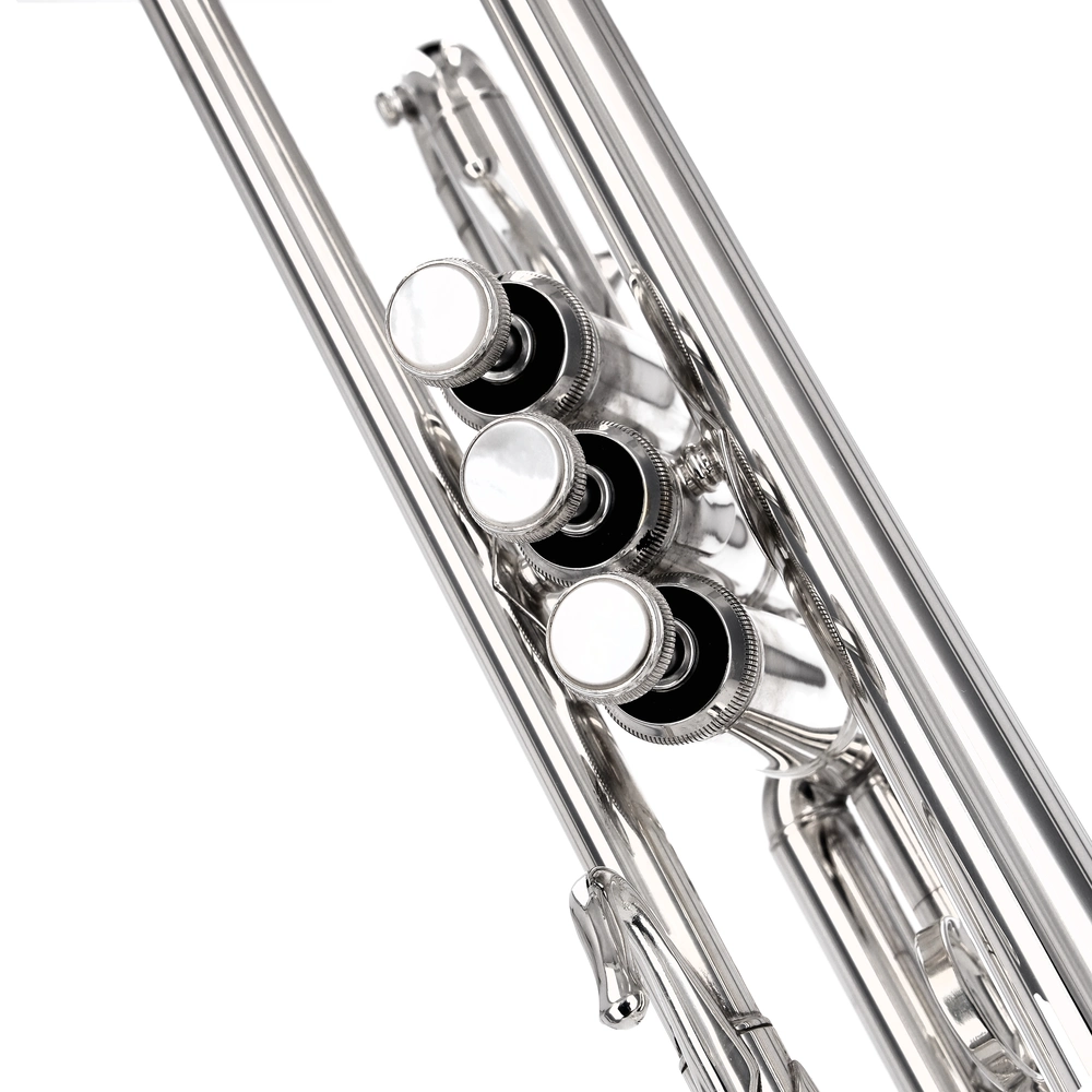 Bach Stradivarius 180S-43R