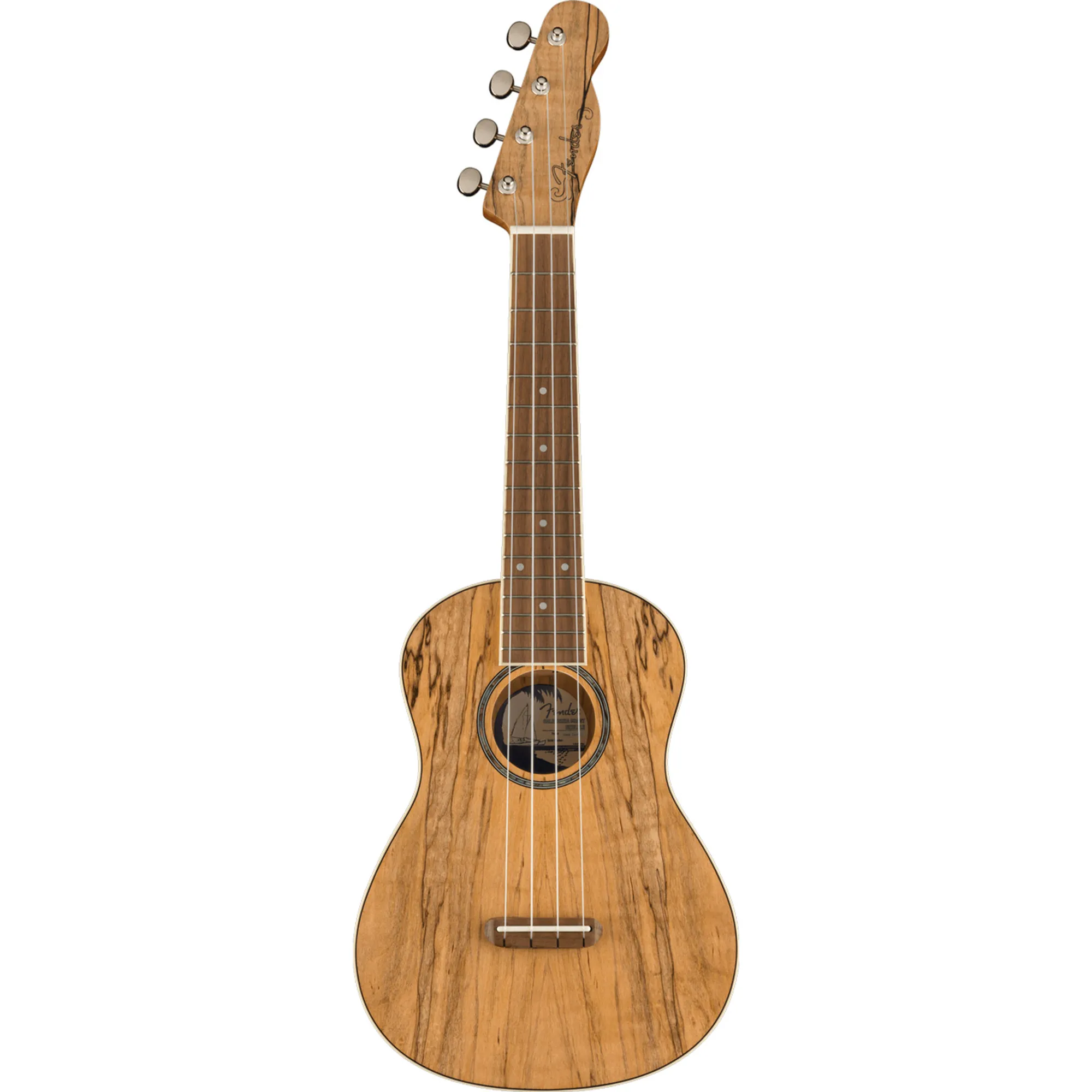 Fender Zuma Exotic Spalted Maple