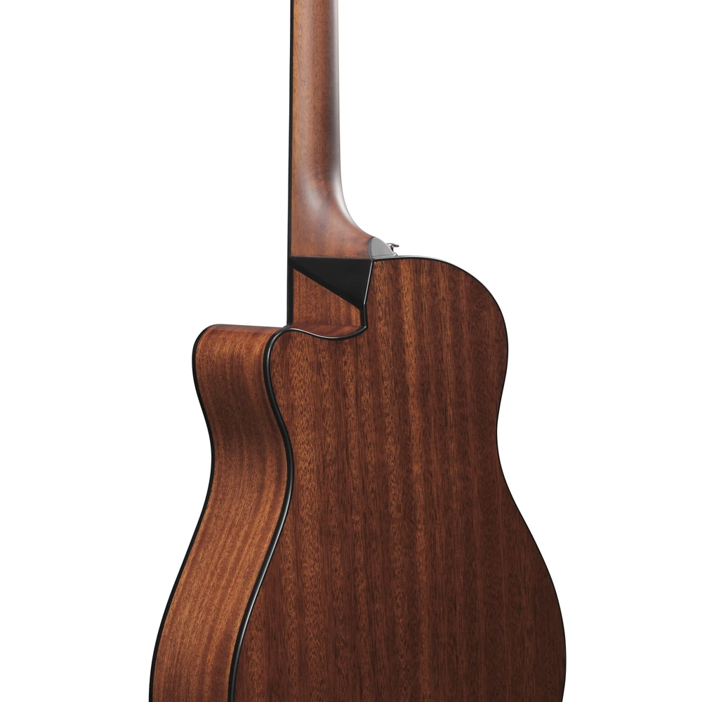 Ibanez AAM300CE-NT