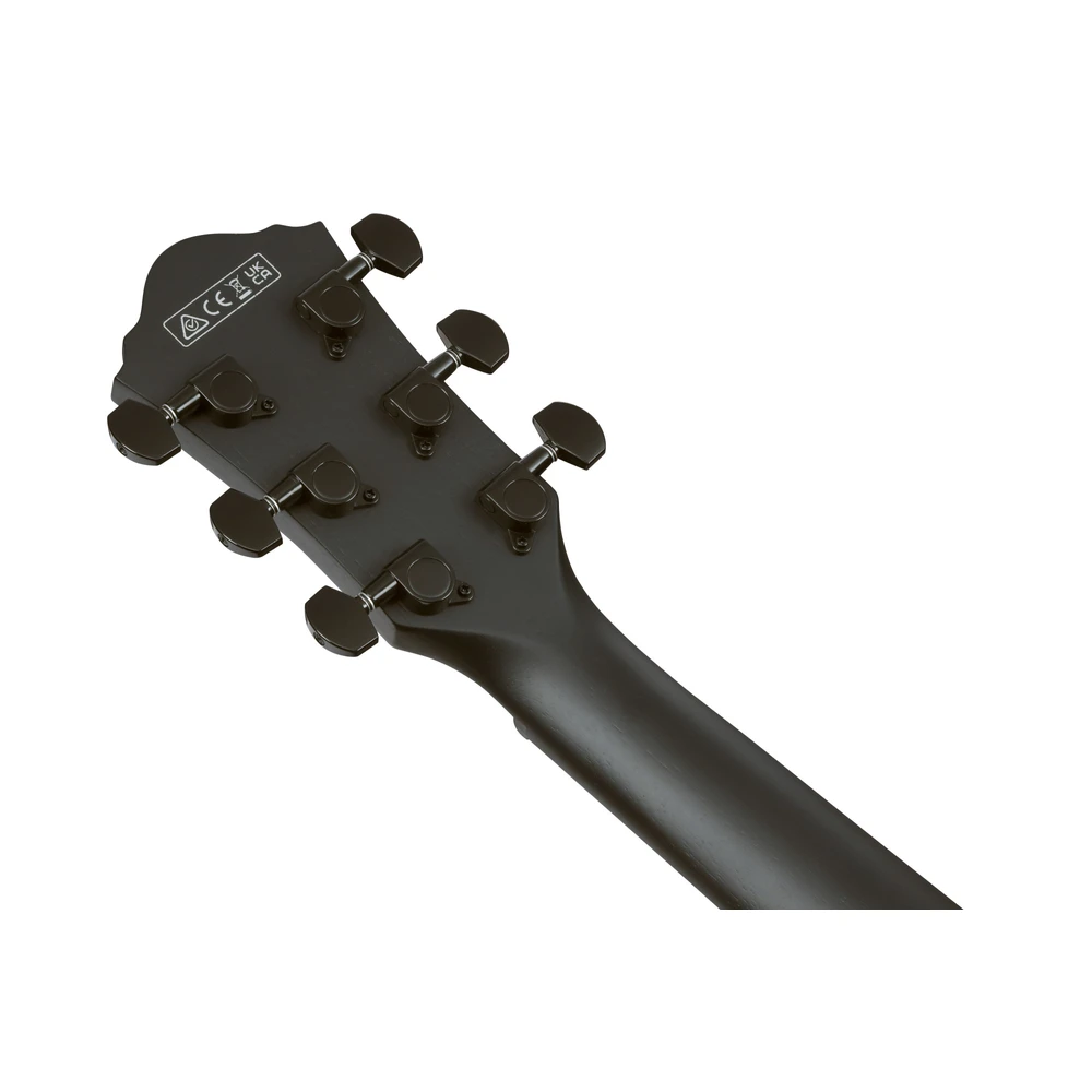 Ibanez AEG621-BOT