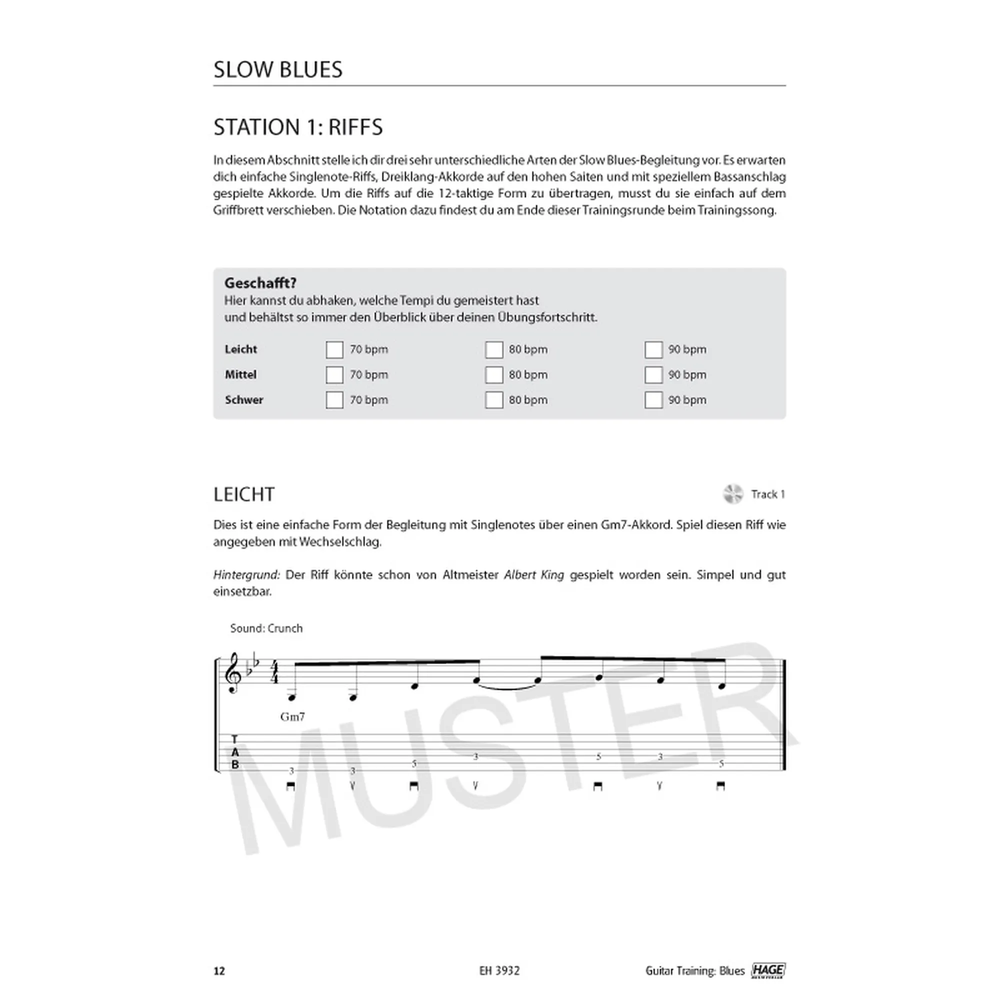 Guitar Training -Blues