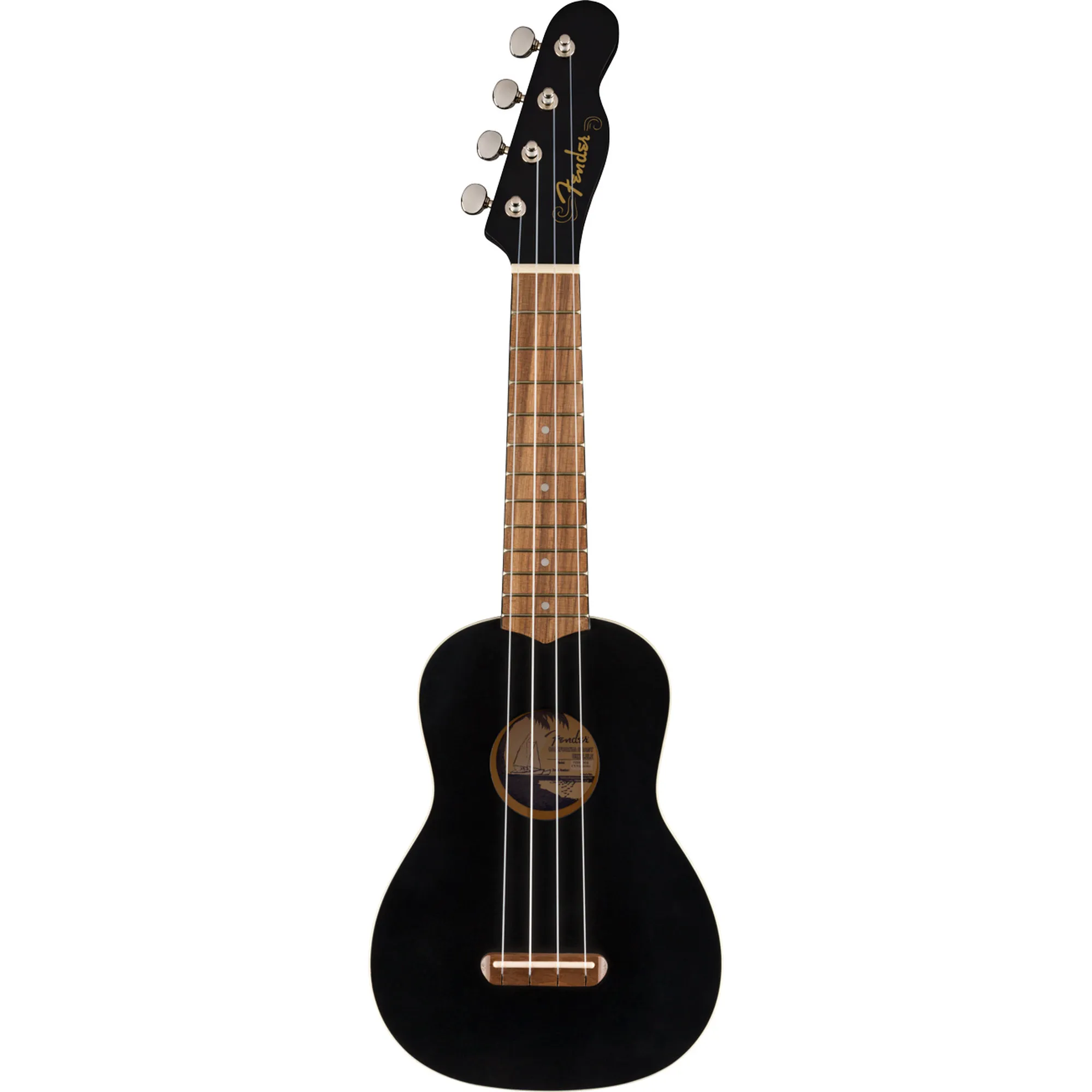 Fender Venice BLK