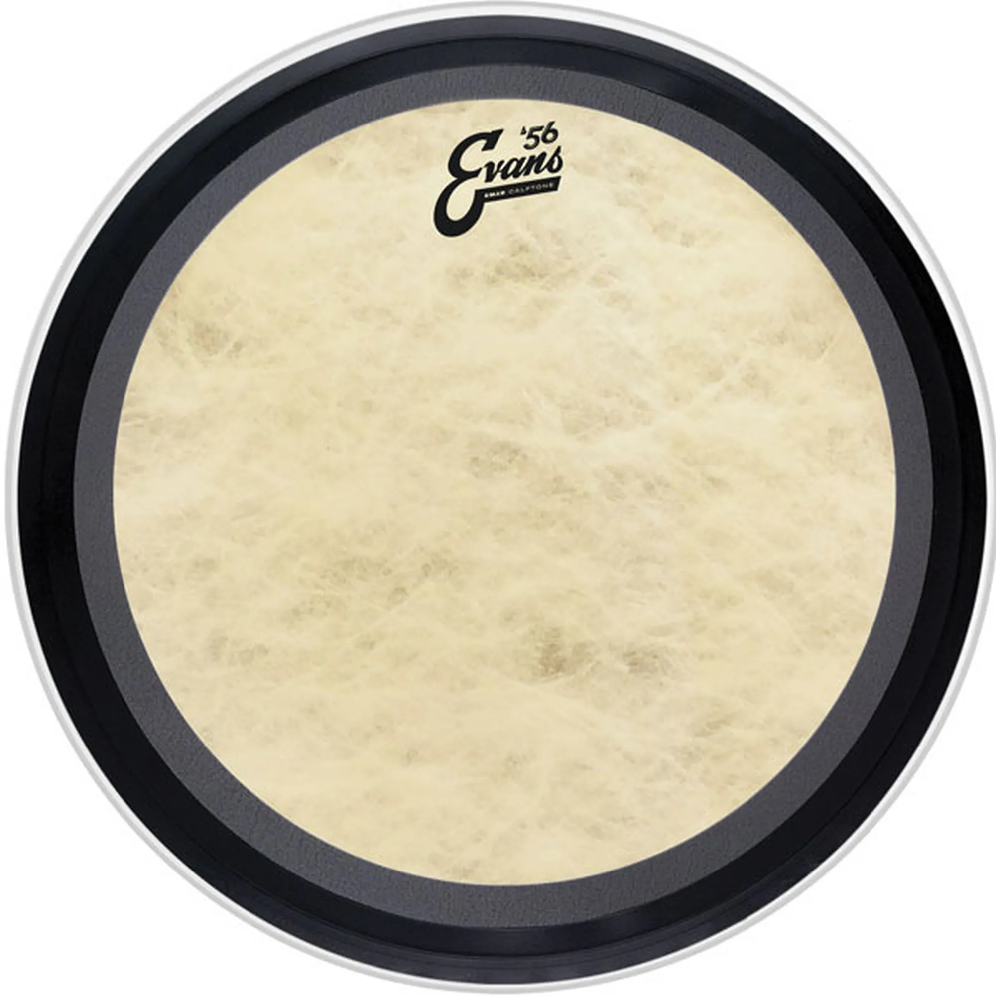 Evans EMAD Calftone 18"