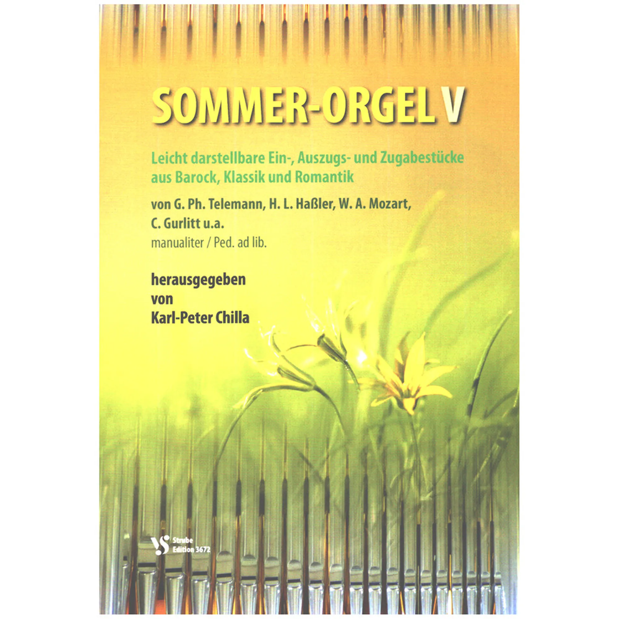 Sommer Orgel 5