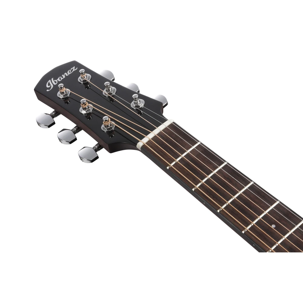 Ibanez AAM300CE-NT